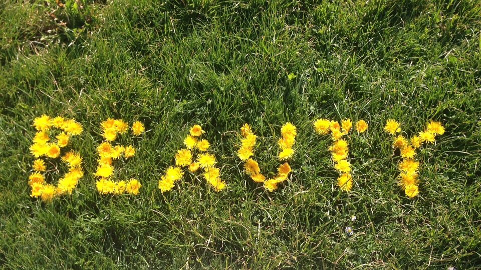 nápis na trávě